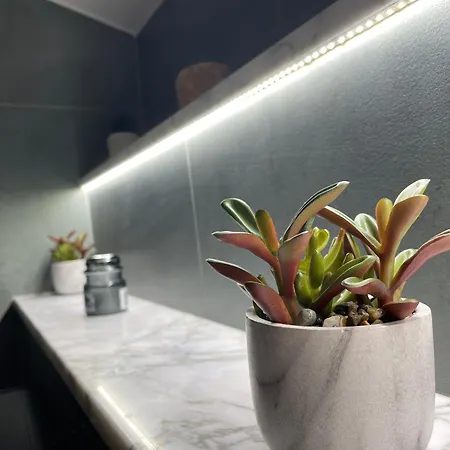 Apartment Gioia's House *