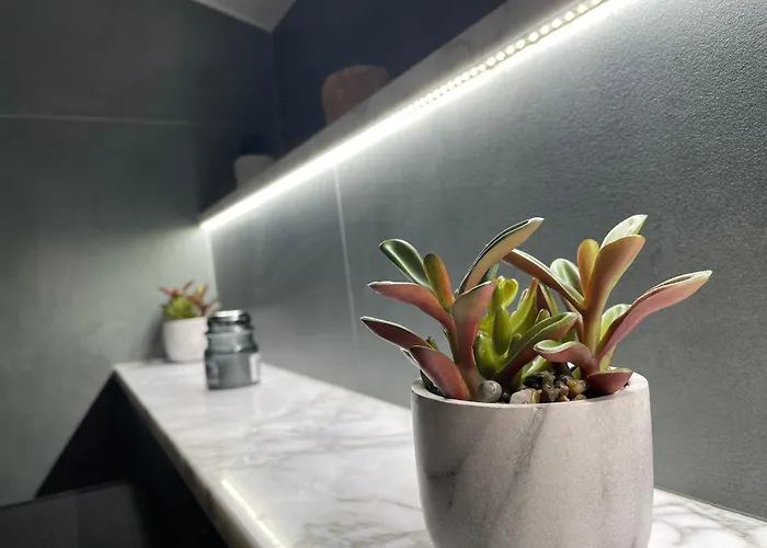 Apartment Gioia's House *